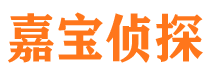 新民市侦探公司